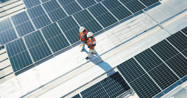 Best Roof Moss and Algae Removal  in London, OH